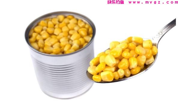 钓草鱼，究竟是用嫩玉米好还是用老玉米钓效果好？(图2)