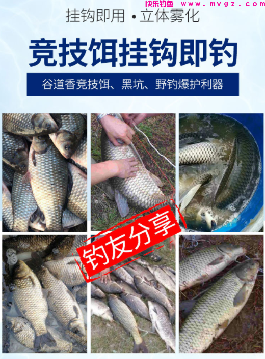 草鱼应该钓浮还是钓底？钓草鱼选水层的4个要点，简单实用效果好(图9)