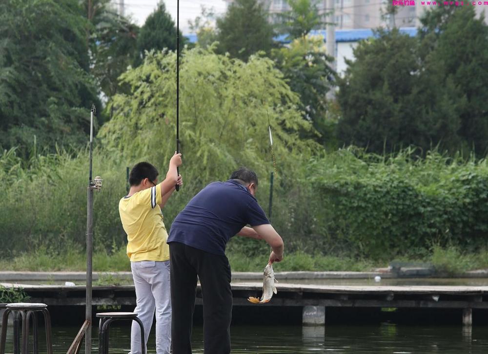 钓草鱼的技巧全在这里，掌握后草鱼排着队进窝咬钩，果断收藏(图2)