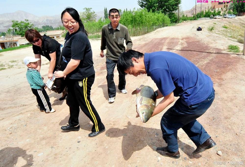 钓草鱼的技巧全在这里，掌握后草鱼排着队进窝咬钩，果断收藏(图6)