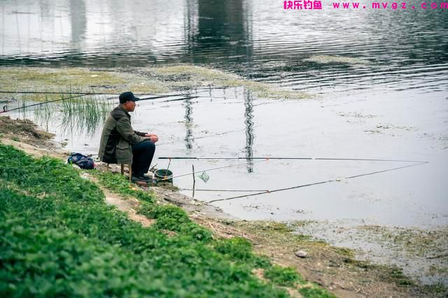 草鱼该怎么钓？夏季如何钓好草鱼？（一）(图2)