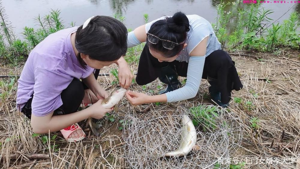 夏季是垂钓草鱼的黄金季节，那么我们该如何去钓呢？(图2)