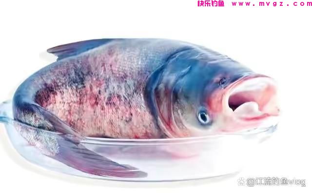 钓的鱼种不同，浮漂也有乾坤(图5)