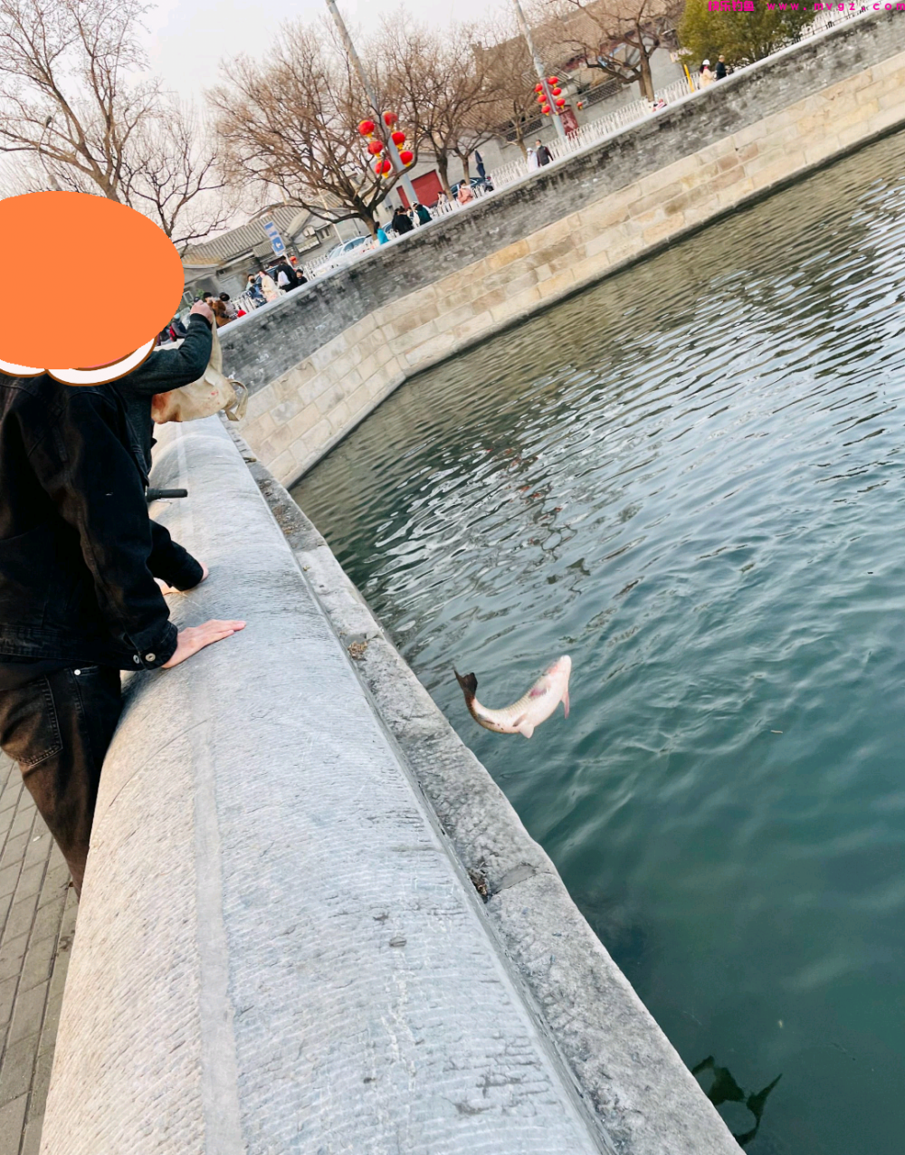 男子钓起故宫护城河的“草鱼王”，网友：你这是动了龙气！(图4)
