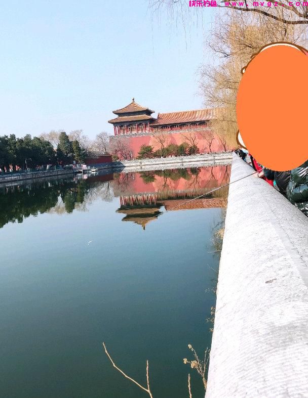 男子钓起故宫护城河的“草鱼王”，网友：你这是动了龙气！(图5)