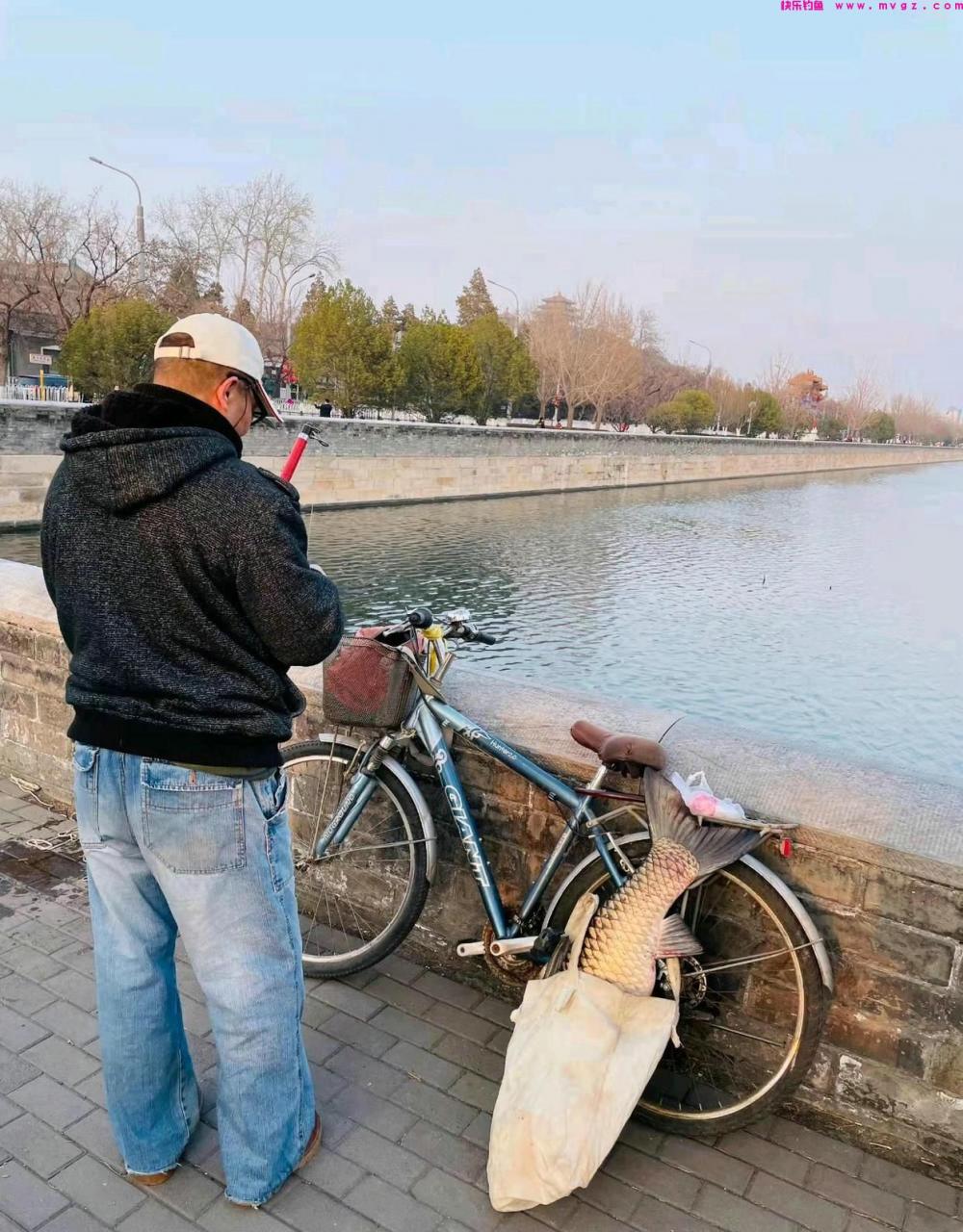 男子钓起故宫护城河的“草鱼王”，网友：你这是动了龙气！