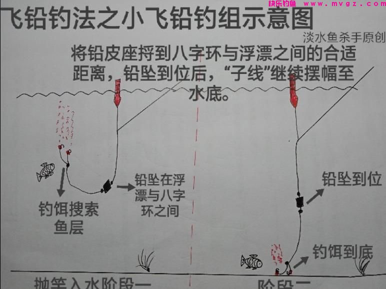 它被称为“草鱼收割机”，简单又实用。详解博大物利器：飞铅钓法(图5)
