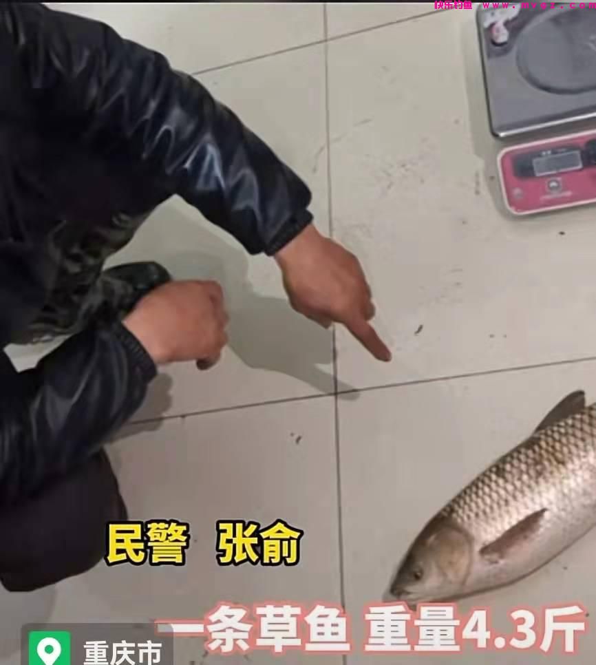 重庆男子钓一条草鱼被刑拘，他用了这种可怕的工具(图1)