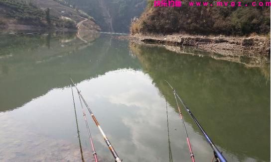 俗话说“钓鲤鱼靠守，钓草鱼靠勤”，通过对比，带你走出钓鱼误区(图3)