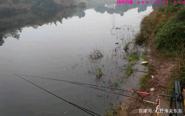 秋末初冬如何钓草鱼？掌握这三个要点，渔获不会太差(图3)