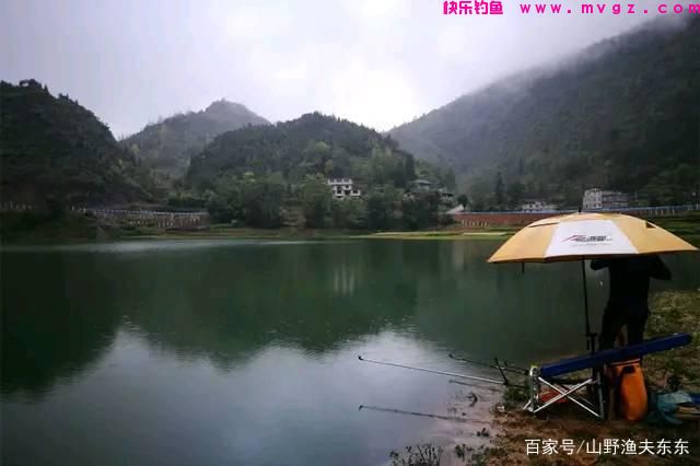 秋末初冬如何钓草鱼？掌握这三个要点，渔获不会太差(图4)