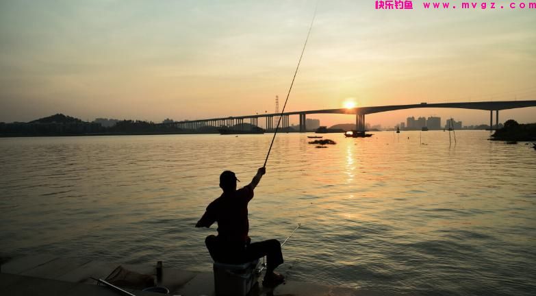 每逢夏季,我必用这些技巧钓草鱼,不吹不黑,十几年来从未失手(图4) 每逢夏季,我必用这些技巧钓草鱼,不吹不黑,十几年来从未失手(图4)