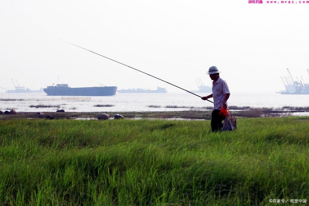 夏季野钓草鱼，钓饵离底是必须的(图2)