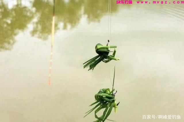为了钓好草鱼,到处问钓法,找“秘方”,殊不知最简单的在身边(图6) 为了钓好草鱼,到处问钓法,找“秘方”,殊不知最简单的在身边(图6)