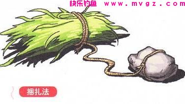 浅谈如何野钓大草鱼？深度分析草鱼习性，掌握关键要点(图3)