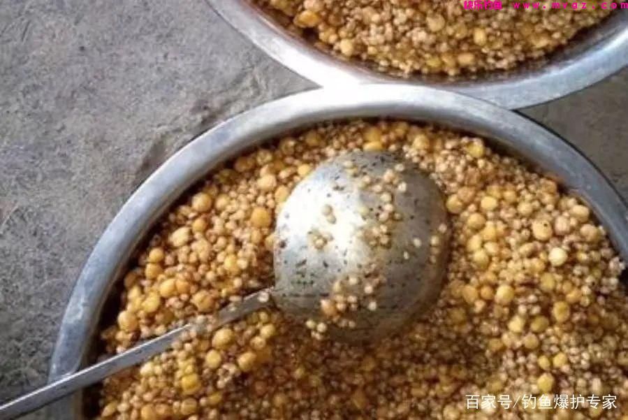 钓草鱼怎么钓？钓草鱼用什么鱼饵最好？(图3)