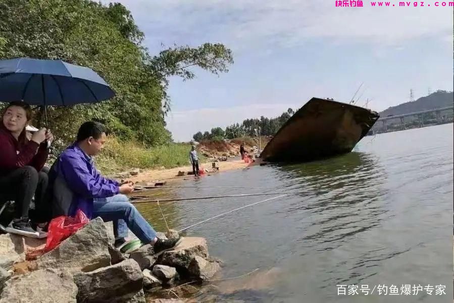 钓草鱼怎么钓？钓草鱼用什么鱼饵最好？(图1)