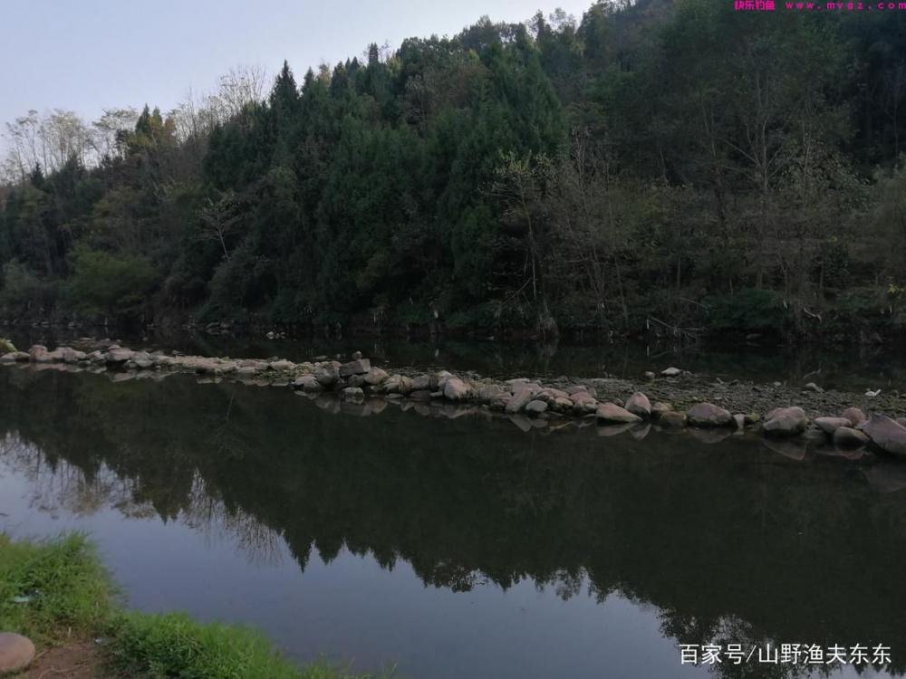 大草鱼的垂钓技巧，记住这几个细节，让你多钓上几条(图3)