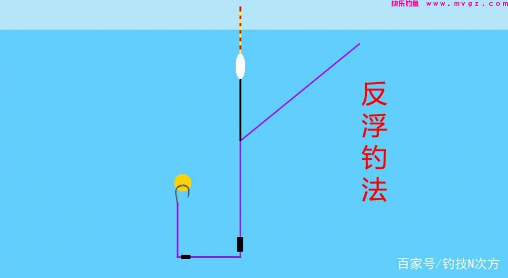 四种作钓草鱼的实战招法(图3)