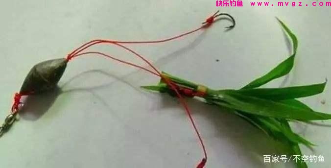 全水域钓草鱼攻略，看过就会，没有比草鱼更好钓的鱼了(图5)