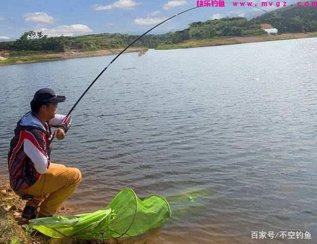 全水域钓草鱼攻略，看过就会，没有比草鱼更好钓的鱼了(图9)