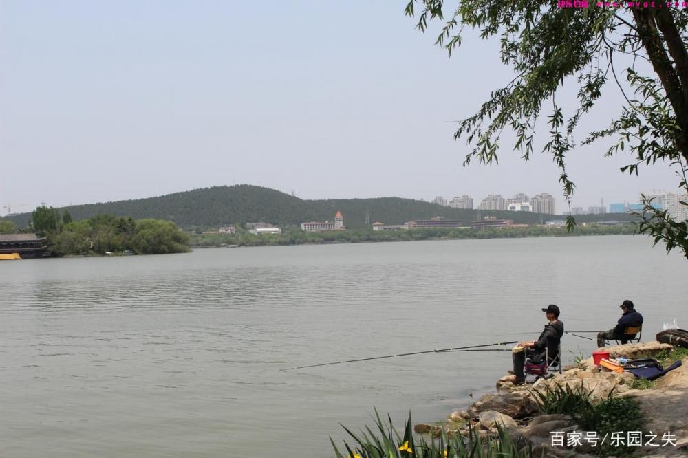 夏季作钓鲤鱼、草鱼，饵料该如何搭配？二个细节不容忽视(图1)