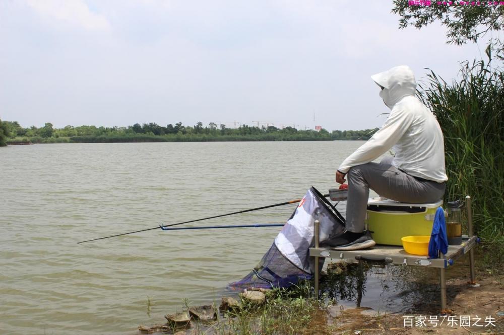 夏季作钓鲤鱼、草鱼，饵料该如何搭配？二个细节不容忽视(图4)