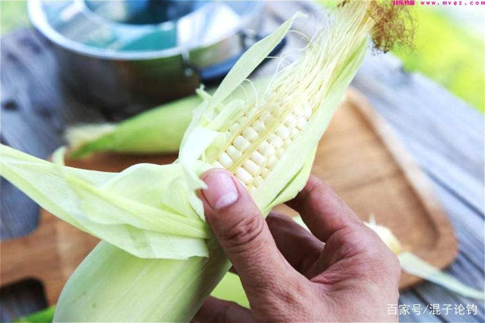 用这些玩意钓草鱼，直接挂钩就能用，大草鱼就是喜欢吃(图4)