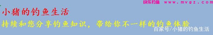 春末夏初，教你一招钓草鱼的绝活，钓法得当肯定上鱼(图1)