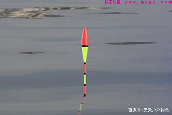 草鱼的三种远投钓法，简单有效，助你连竿大草鱼！(图4)