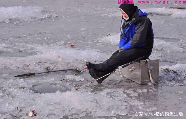 「野钓」怎么钓草鱼？(图4)