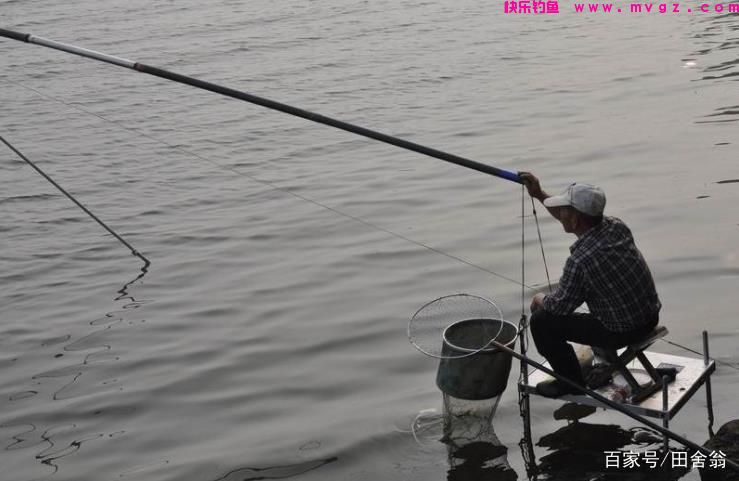 不要总是抱怨草鱼难钓，做好这些功课，就能“放长线，钓大鱼”(图3)