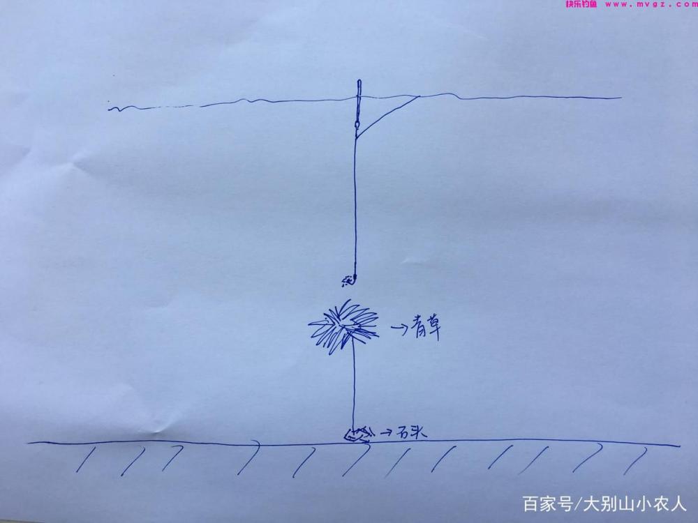 草鱼到底怎么钓？这5种钓法任你选，详解：草鱼的作钓全攻略(图4)