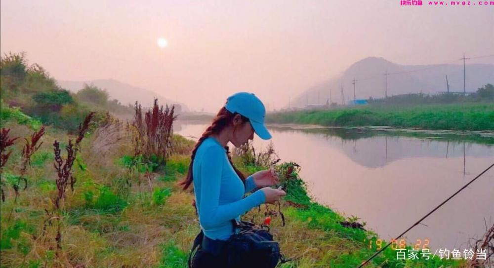 野外如何钓草鱼？详细分析钓草鱼的技巧与方法，以后钓鱼不求人！(图4)