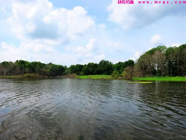 谁说大草鱼难钓？从四个方面探究，分享三种钓法(图3)