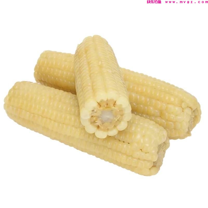 清明过后钓草鱼！这些自制饵更胜商品饵！(图3)