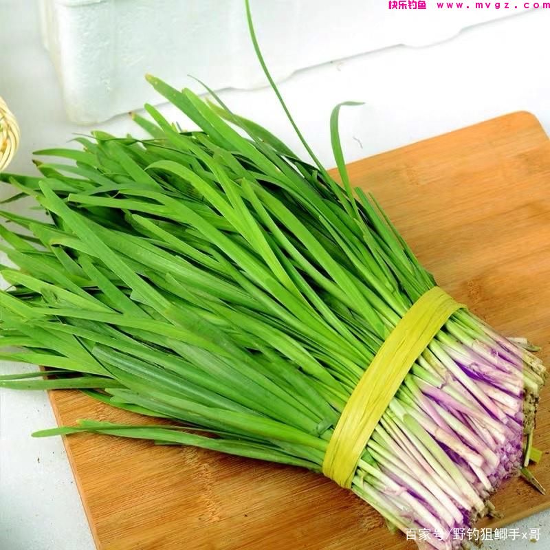清明过后钓草鱼！这些自制饵更胜商品饵！(图6)