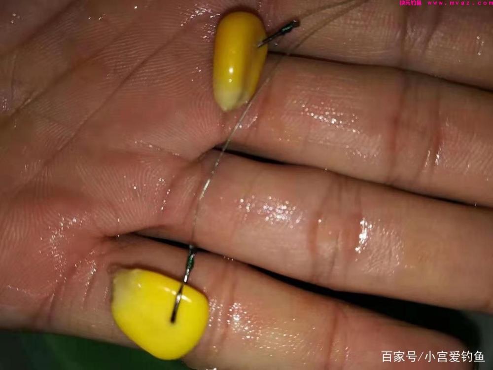 春季这么钓草鱼，看完不上鱼都难(图3)