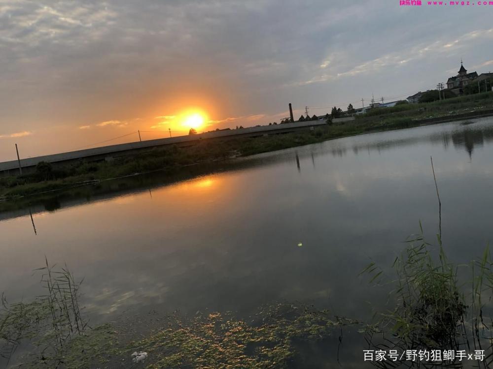钓草鱼方法解析！用对方法钓草鱼一点也不难！(图5)