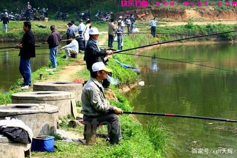 如何在各种钓场-钓草鱼(图3)