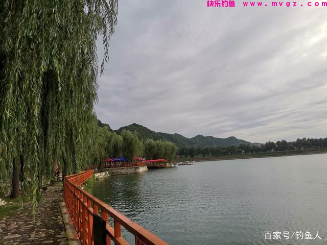 草鱼这个钓法最近火了，简单易上手，新手一学就会(图2)