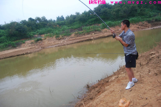 秋钓草鱼最全攻略！彻底掌握这5点技巧，每次出钓渔获都不会差！(图3)