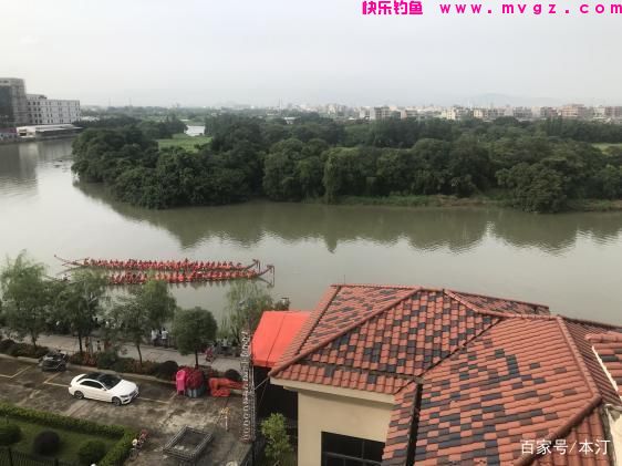 长竿短线钓草鱼——七星漂(图1)