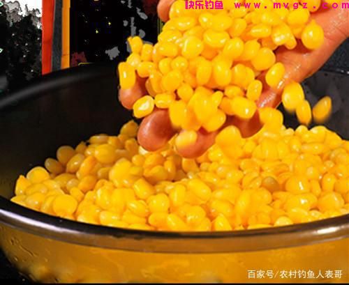 夏季用好玉米，野钓也能上草鱼和鲤鱼，浅谈用玉米野钓的3大技巧(图4)