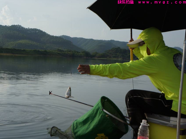 夏季垂钓青鱼、草鱼之我见，希望这些小技巧，可以帮助到大家(图1)