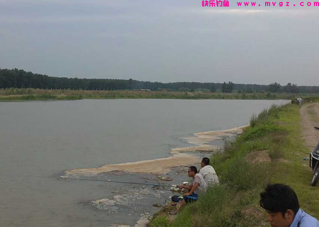 夏季垂钓青鱼、草鱼之我见，希望这些小技巧，可以帮助到大家(图2)