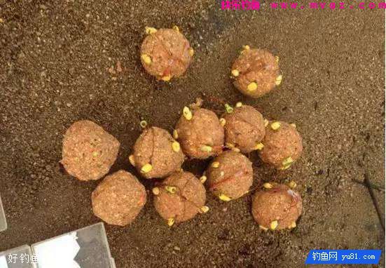 三款自制钓鲤鱼饵料配方，适合海竿配爆炸钩库钓(图3)