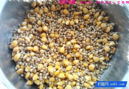 这款鲤鱼窝料适合湖泊水库等水深野钓(图2)