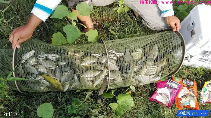 堪称经典：18种经钓友考验过的饵料配方(图1)