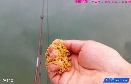 不同对象鱼的打窝饵料和打窝方法(图1)